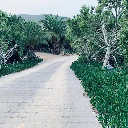 La Almendra Y El Gitano Agua Amarga (Almeria)