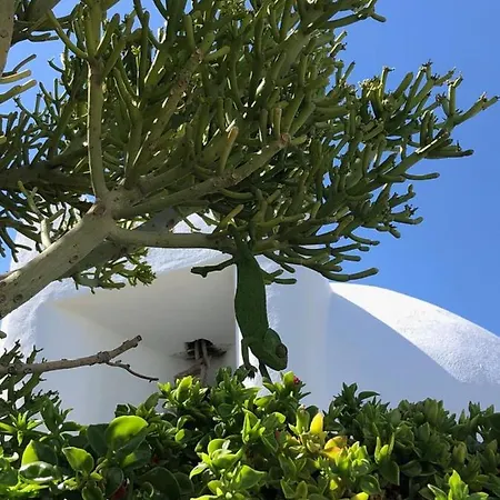 La Almendra Y El Gitano Hotel Agua Amarga (Almeria)